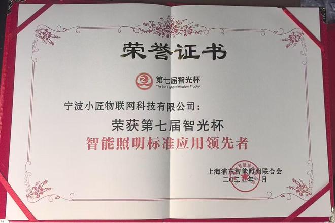 杯奖项推动智能照明行业迈向新高度EVO视讯平台小匠物联荣获智光(图4)