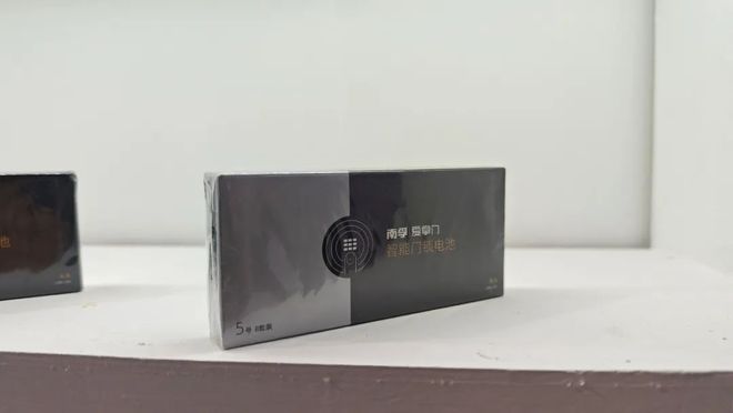 爱掌门如何赢得智能锁B端伙伴青睐EVO视讯真人门博会焦点：看南孚(图2)