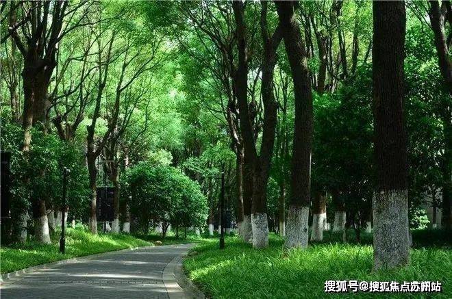 售楼处发布：中鹰黑森林最后席位热销中EVO真人平台热搜好房!中鹰黑森林(图2)