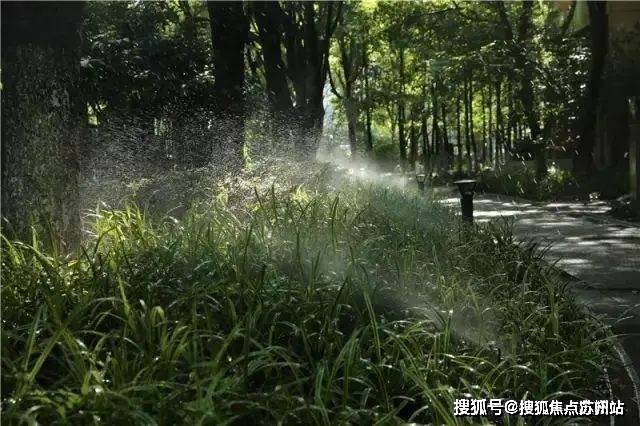 售楼处发布：中鹰黑森林最后席位热销中EVO真人平台热搜好房!中鹰黑森林(图5)