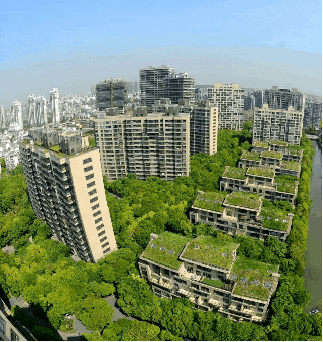 售楼处发布：中鹰黑森林最后席位热销中EVO真人平台热搜好房!中鹰黑森林(图7)