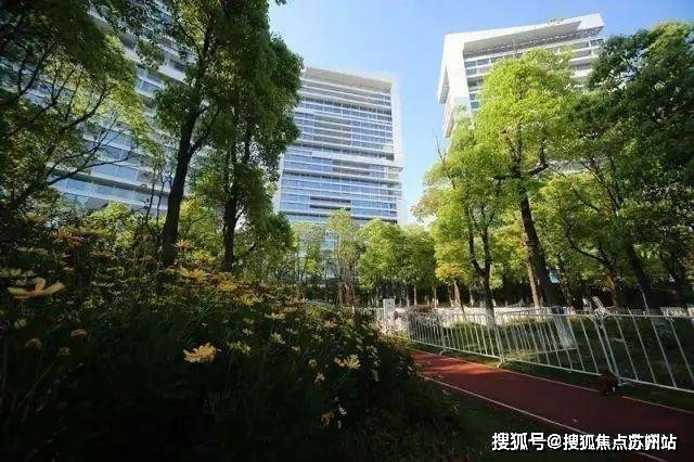 售楼处发布：中鹰黑森林最后席位热销中EVO真人平台热搜好房!中鹰黑森林(图15)