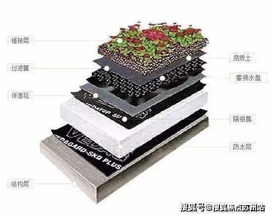 售楼处发布：中鹰黑森林最后席位热销中EVO真人平台热搜好房!中鹰黑森林(图12)