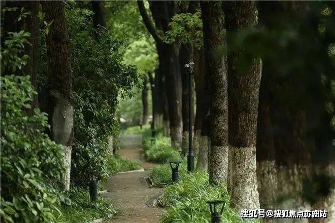 售楼处发布：中鹰黑森林最后席位热销中EVO真人平台热搜好房!中鹰黑森林(图14)